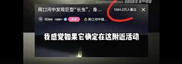 周口河中现巨型“长虫”?当地回应