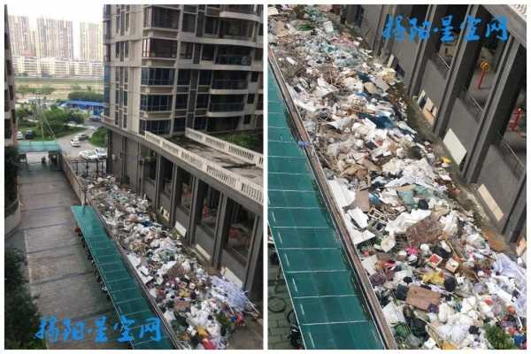 深圳一小区内现“8房8卫”!楼下苦不堪言