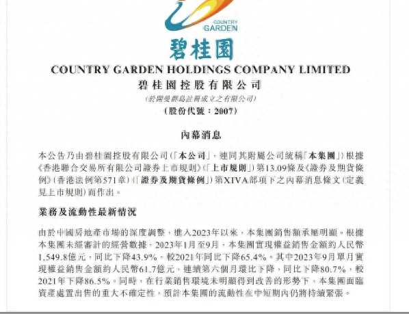 碧桂园资金最新事件!创始人卖私人飞机偿债