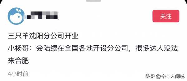 网红小杨哥辟谣退网传闻!透露接下来的大计