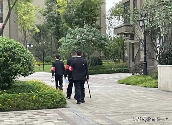 狗伤人小区已组巡逻队 遛狗者变少