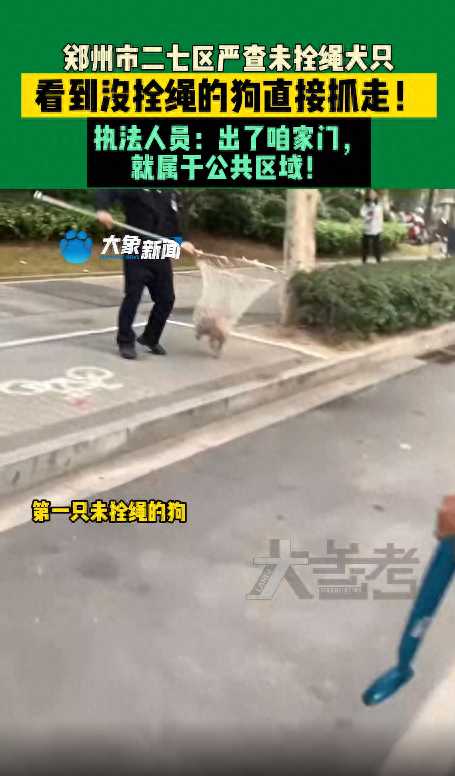 郑州最近严查什么?河南郑州严查未拴绳犬只