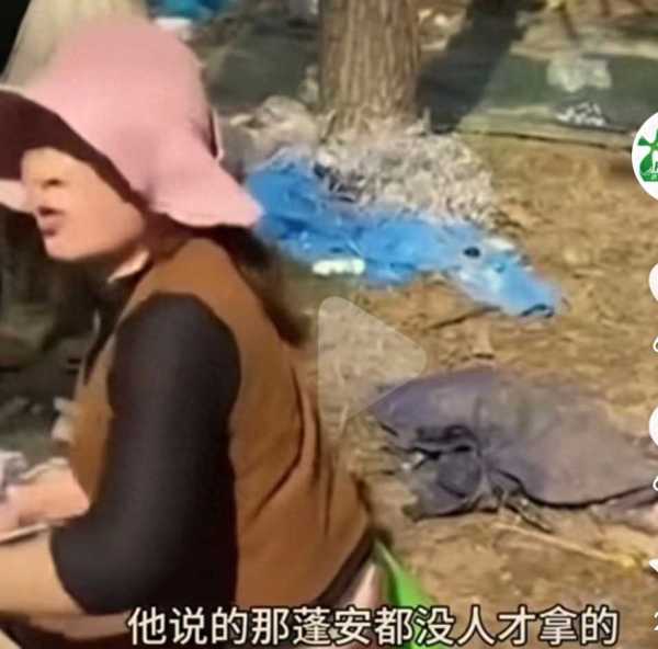 南阳给了我体面!南阳失窃案件原因曝光