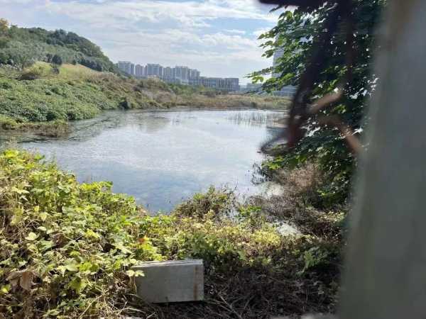 苏州百亿“毒地”最大受害者是谁