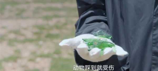 可可西里管理处回应胡歌刘涛争论