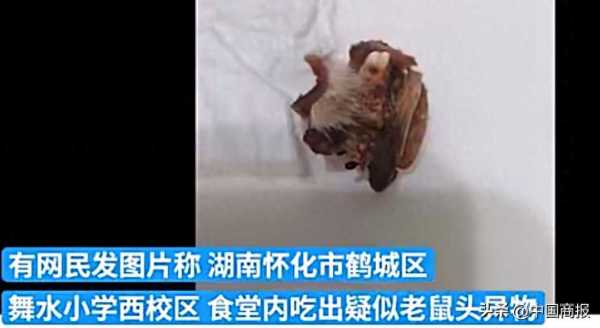 小学食堂吃出鼠头?官方:为兔头唇部