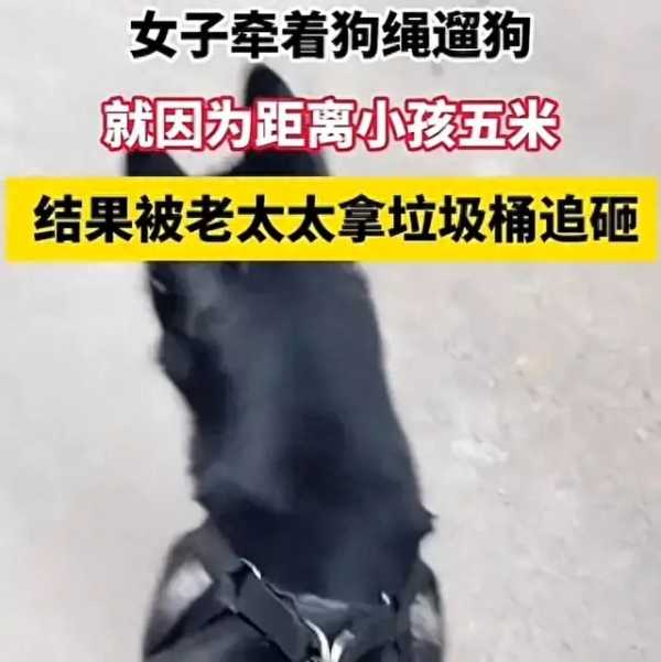 女子遛狗吓哭小孩被老太追砸