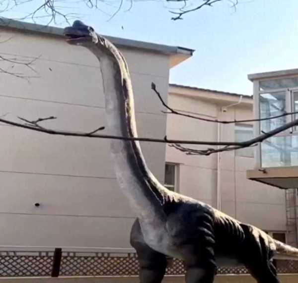 女子花10万买高15米大恐龙吓坏邻居