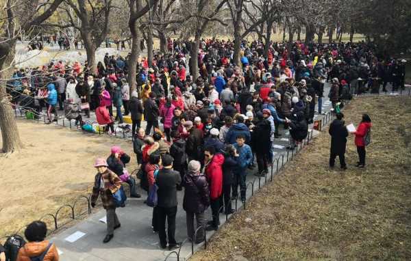 北京相亲公园图鉴:有人坚持5年