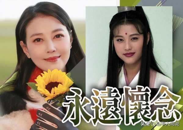 周海媚告别仪式已完成!母亲透露“毛孩子们”去向