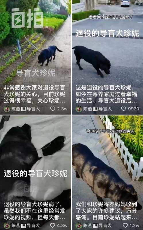 盲女背下8000个钢琴零件成调音师