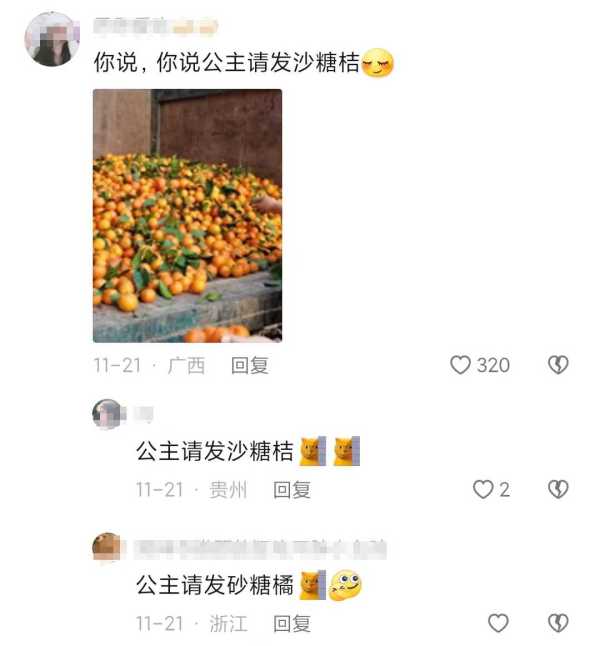 网友在线催广西老表摘砂糖橘