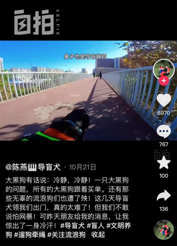 盲女背下8000个钢琴零件成调音师
