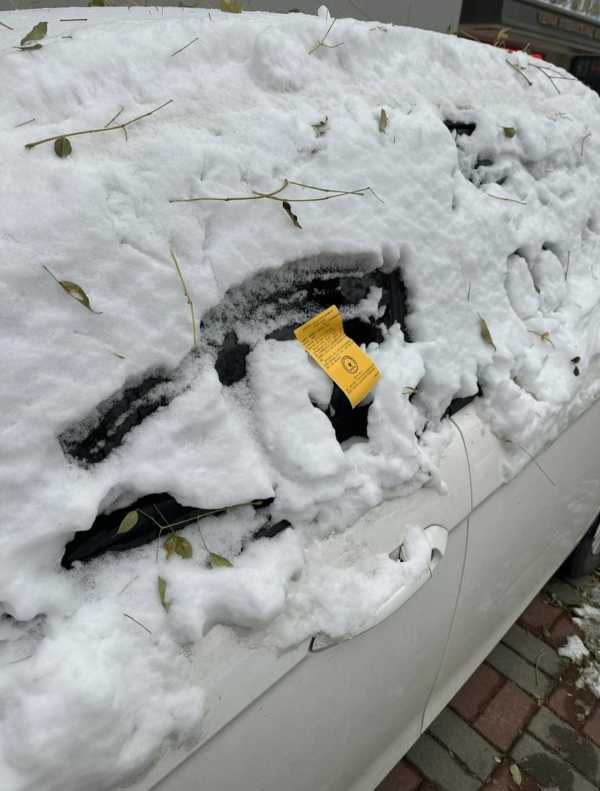 石家庄雪中罚单引热议 交警回应