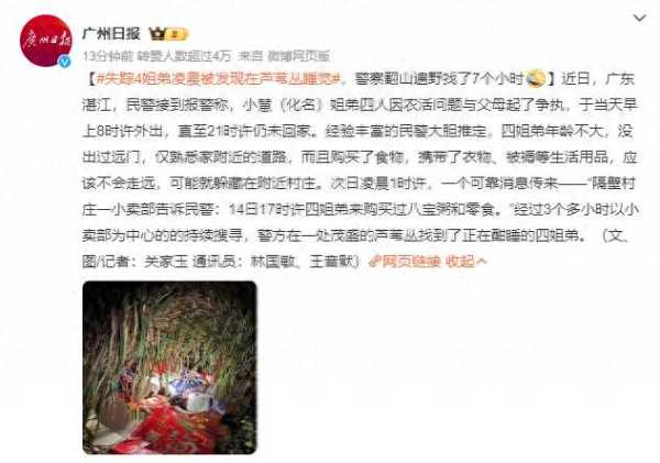 失踪4姐弟凌晨被发现在芦苇丛睡觉