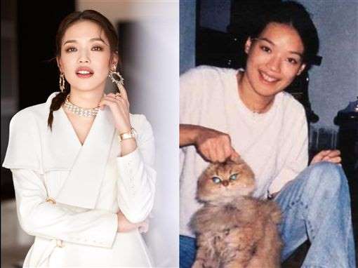舒淇最恶心的照片是什么?舒淇长的丑
