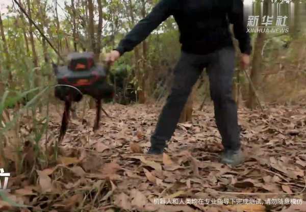 中国造双足机器人完成森林徒步测试
