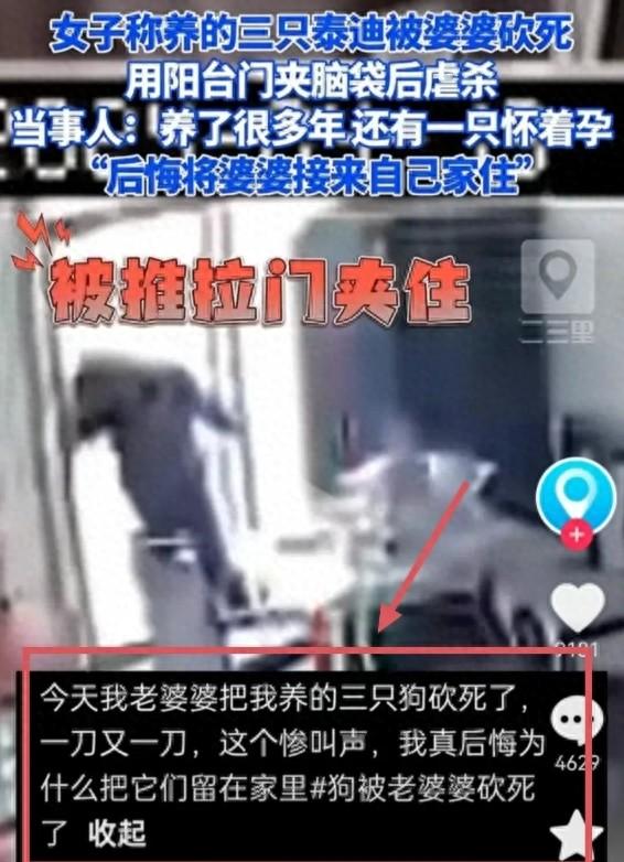 官方回应婆婆杀害儿媳3只狗