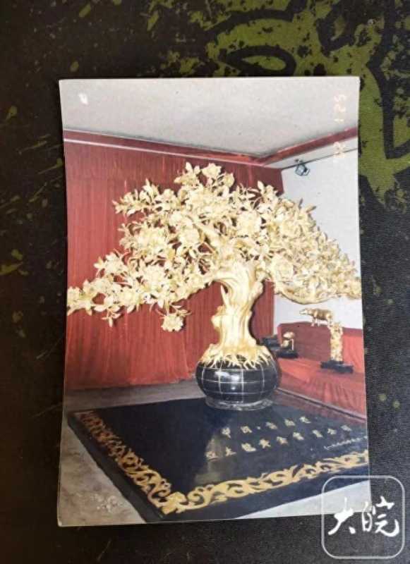 价值上亿的金茶花在银行离奇失踪