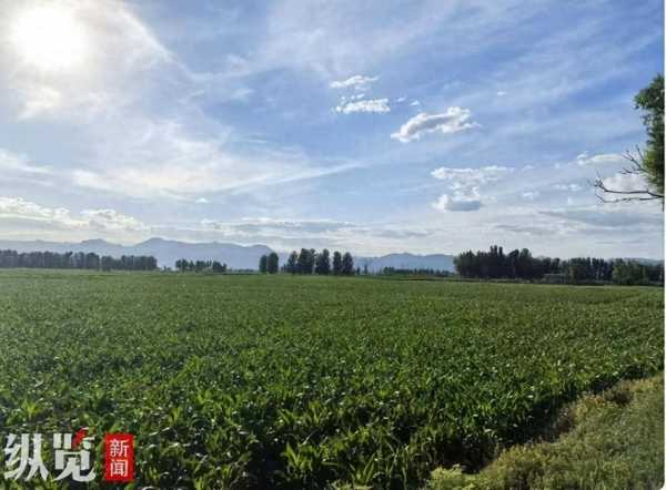 杀5人嫌犯仍在逃:玉米地都翻个遍