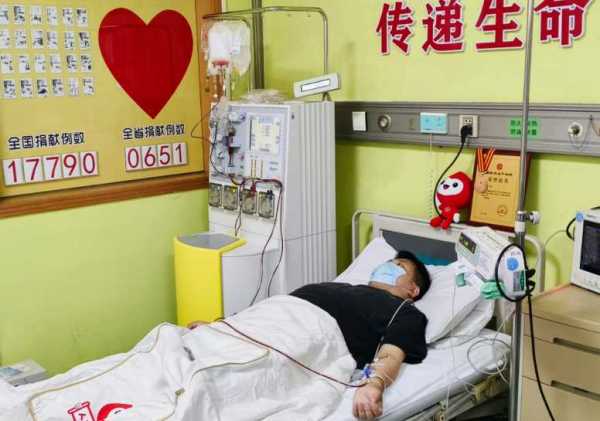父亲节前爸爸捐骨髓救人:教儿子感恩