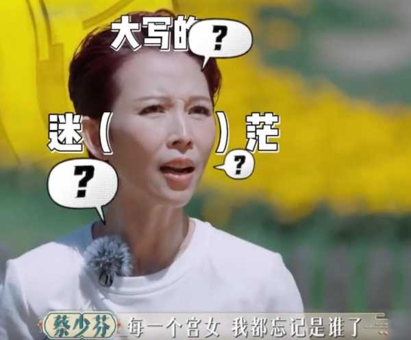 蔡少芬除了剪秋一个宫女都不记得