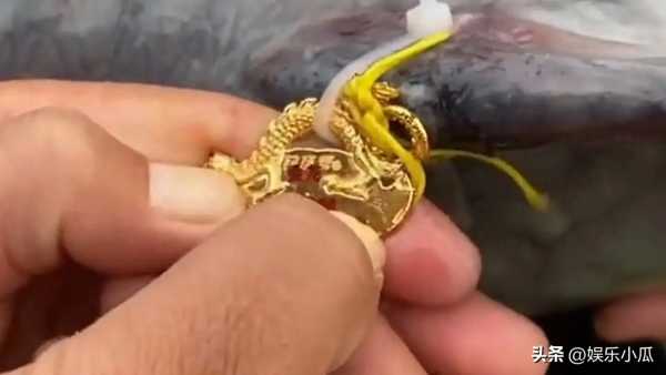 3人花394万买8000条鱼开赌场获刑