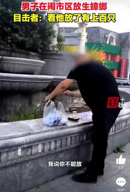 男子闹市区一盒盒放生蟑螂