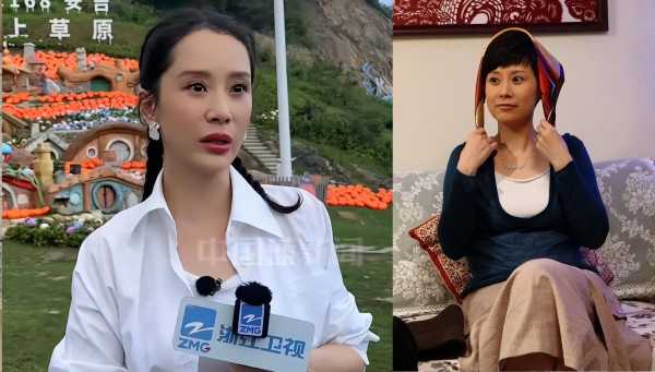 海清最近到底怎么了?模样大变疑医美过度