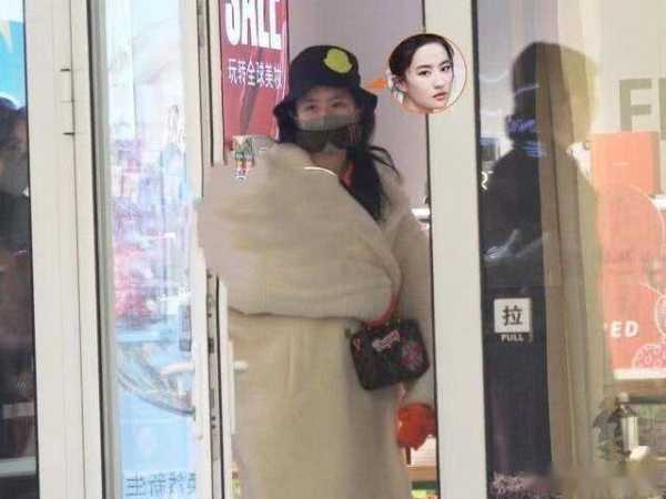 刘亦菲为什么不结婚?刘亦菲宣布一辈子单身