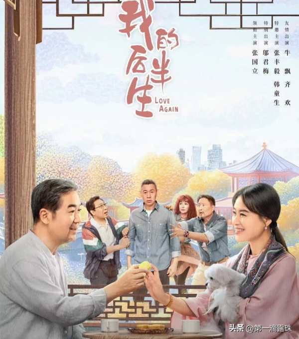 《我的后半生》今日开播!张国立佟大为梅婷领衔