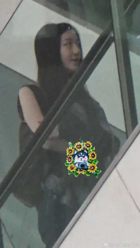 王菲女儿李嫣罕见露面!气质神似王菲