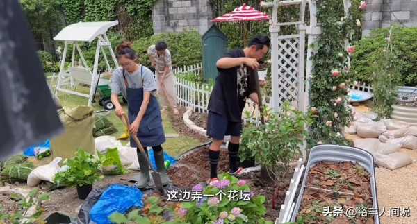 郑恺妻子苗苗用3个月打造菜园!亲自种菜养鸡