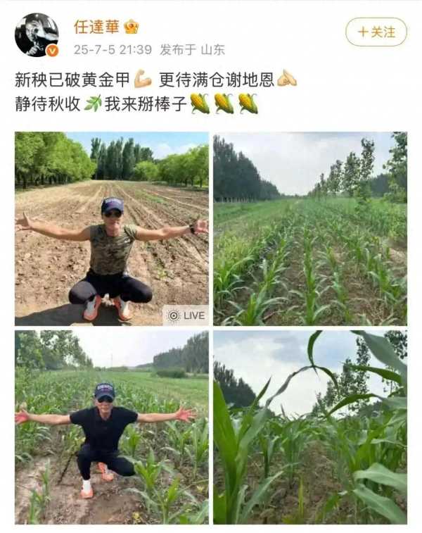 任达华在山东老家收完麦子又种玉米