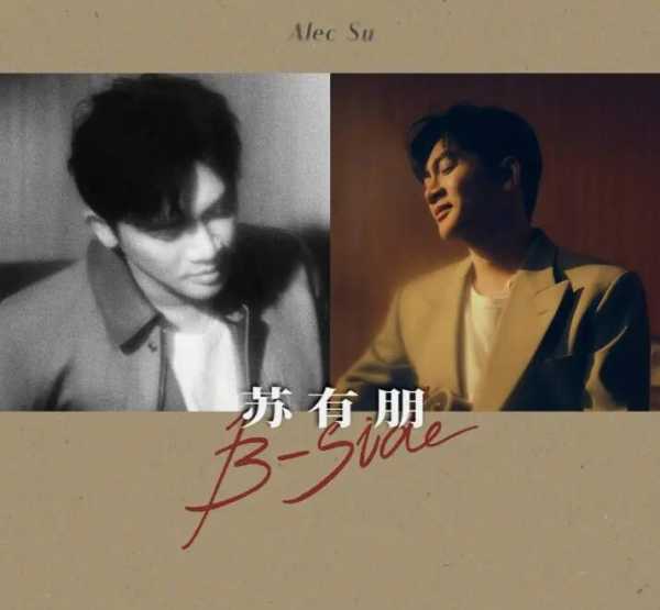 苏有朋是一线还是二线?苏有朋火还是吴奇隆火
