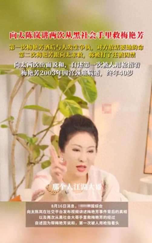 向太谈2次从黑社会手上救出梅艳芳