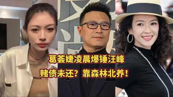 葛荟婕凌晨发文炮轰汪峰!旧怨新账再掀风波