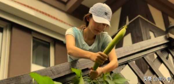 苗苗的田园生活好治愈!郑恺独具慧眼