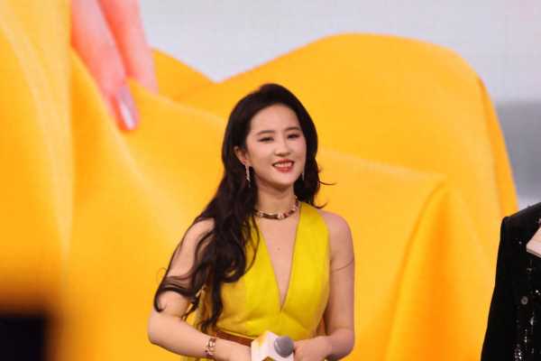 向太回忆初见刘亦菲：14岁全身名牌