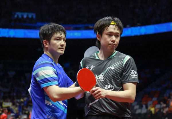 樊振东为什么不回国家队?刘国梁为何动樊振东