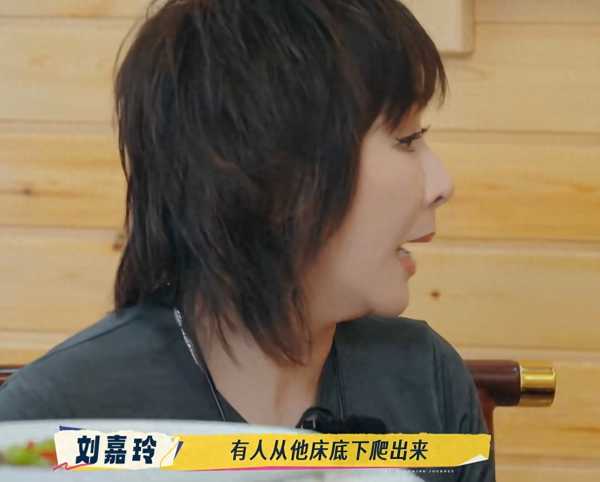 刘嘉玲曝刘德华私生藏床底爬出来