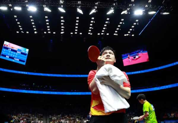 樊振东：469天后王者归来