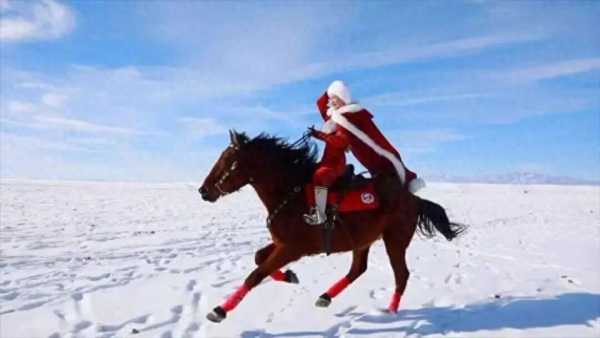 贺娇龙最后一条朋友圈：为热爱所向披靡